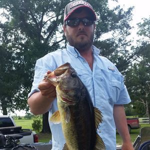 Meet your Posher, Judson